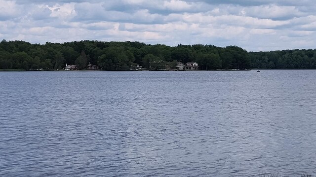 3118 Ogontz Dr S, Pocono Lake, PA 18347 - photo 11