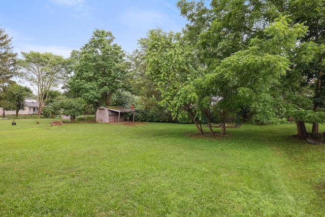1703 Wallace St, Stroudsburg, PA 18360 - view of green lawn featuring a storage unit