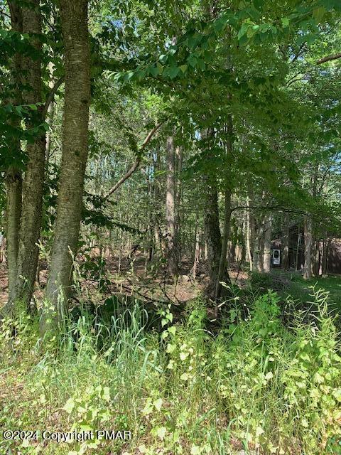 Briarwood Dr, Tobyhanna PA, 18466 land for sale