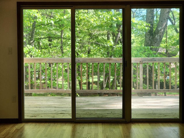 166 Applewood Dr, Swiftwater, PA 18370 - doorway with wood finished floors