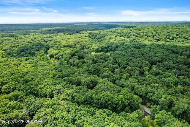 1289 Bear Dr, Bushkill, PA 18324 - photo 12