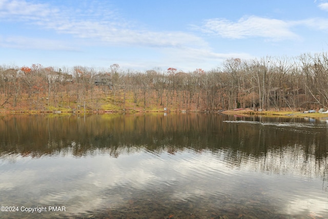 property view of water featuring a view of trees