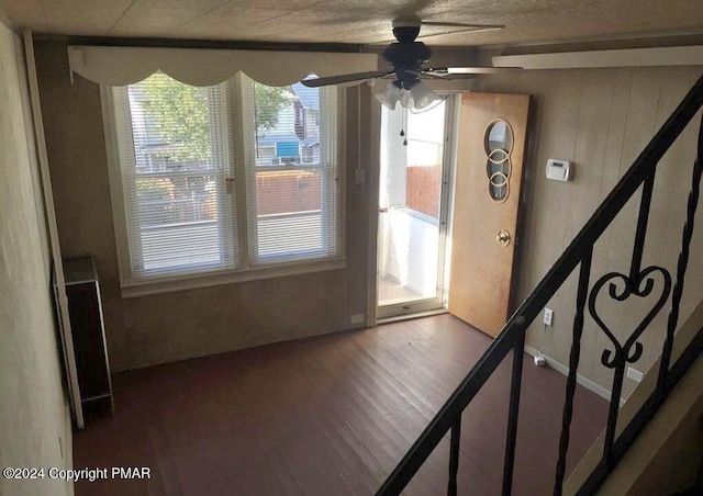 entryway featuring wood finished floors, a ceiling fan, and a healthy amount of sunlight