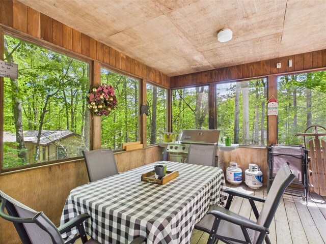246 White Pine Dr, Pocono Lake, PA 18347 - photo 53