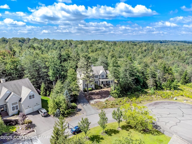 215 Hermit Thrush Rd, Pocono Pines, PA 18350 - photo 38
