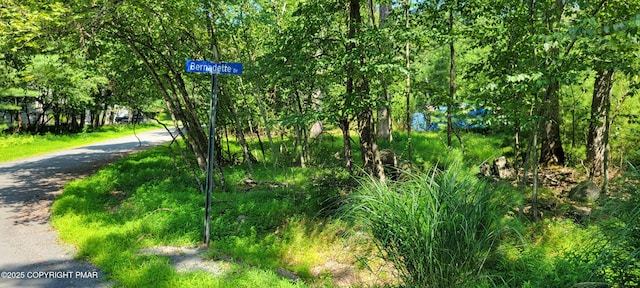 157 Bernadette Dr, Dingmans Ferry, PA 18328 - photo 4
