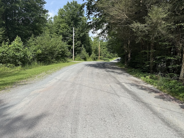 233 N Smith Rd, Waymart, PA 18472 - photo 8