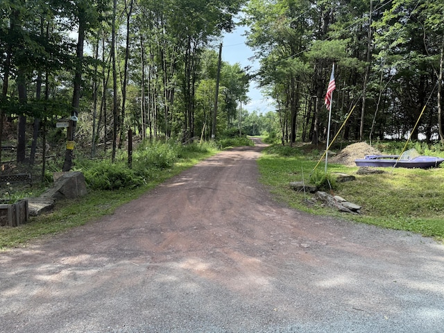 233 N Smith Rd, Waymart, PA 18472 - photo 9