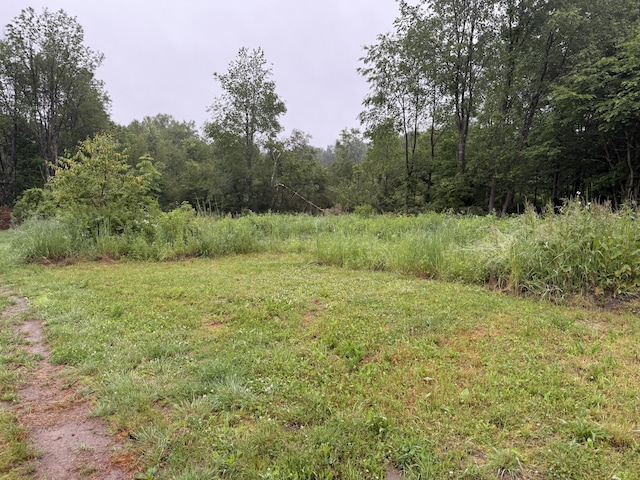 233 N Smith Rd, Waymart, PA 18472 - photo 11