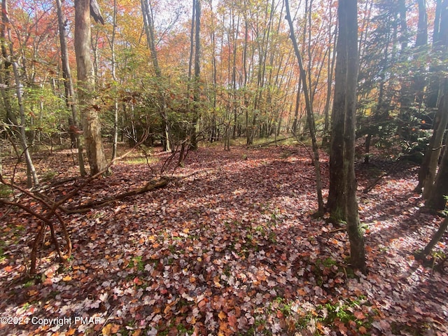 LOT102 Crescent Way, Albrightsville PA, 18210 land for sale