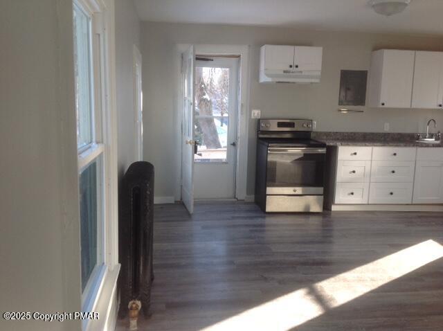 kitchen with white cabinetry, sink, dark wood-type flooring, and stainless steel electric stove