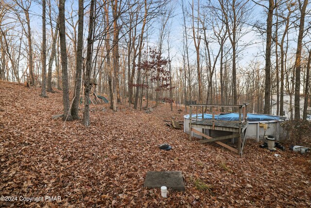 295 Middle Rd, Tannersville, PA 18372 - photo 31