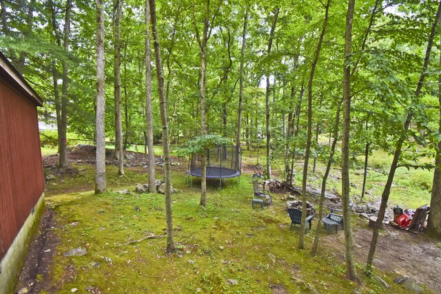 118 Sussex Ct, Bushkill, PA 18324 - view of yard featuring a trampoline