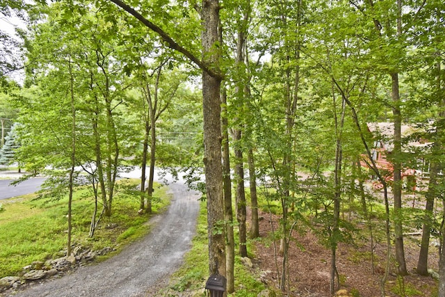 118 Sussex Ct, Bushkill, PA 18324 - view of road