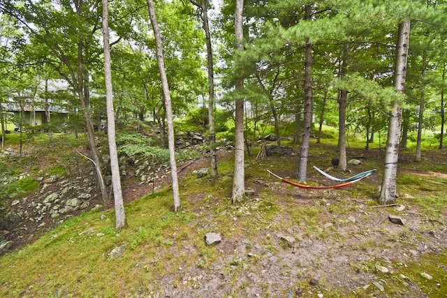 118 Sussex Ct, Bushkill, PA 18324 - view of yard