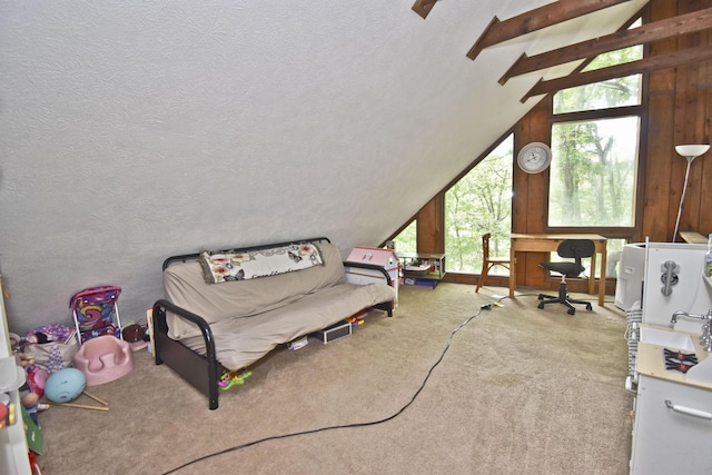 118 Sussex Ct, Bushkill, PA 18324 - bedroom featuring wood walls, carpet floors, and a textured ceiling