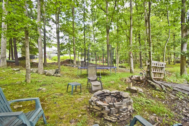 118 Sussex Ct, Bushkill, PA 18324 - view of yard with a fire pit and a trampoline