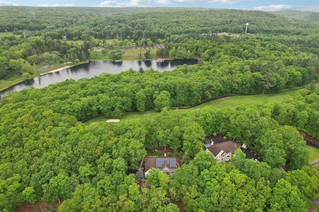 136 Outlook Ct, East Stroudsburg, PA 18302 - view of property location featuring a forest and a nearby body of water