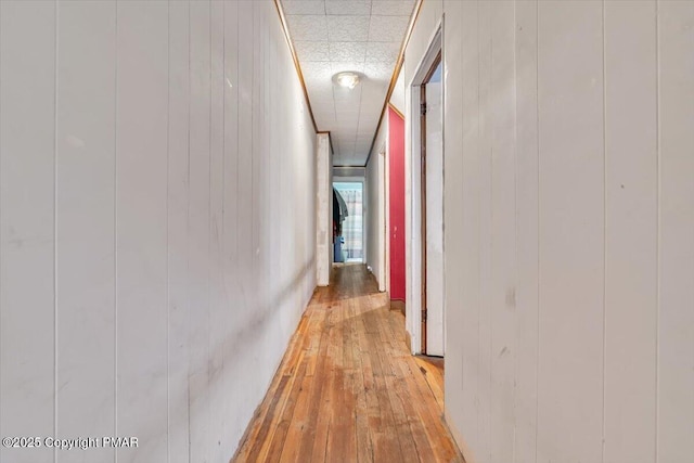 corridor with wood walls, a drop ceiling, and light wood-style flooring