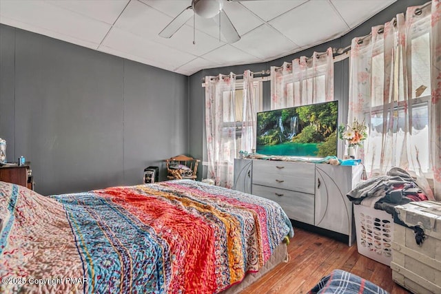 bedroom featuring wood-type flooring, a drop ceiling, and ceiling fan