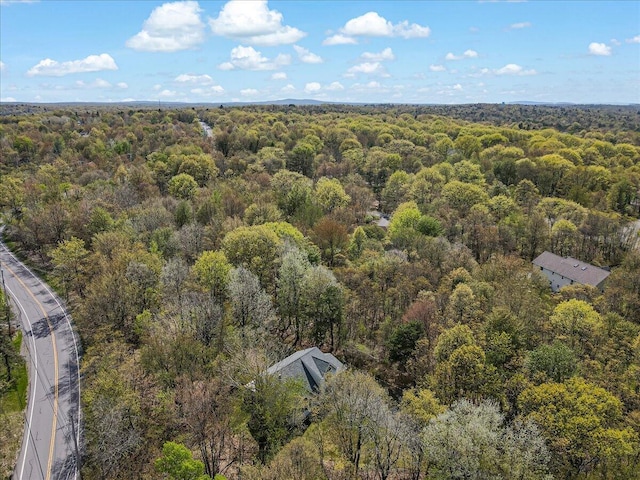 3310 Black Cherry Ct, Long Pond, PA 18334 - photo 67