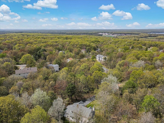 3310 Black Cherry Ct, Long Pond, PA 18334 - photo 68