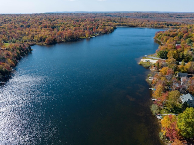 3055 Briarwood Dr, Tobyhanna, PA 18466 - drone / aerial view of a heavily wooded area and a nearby body of water