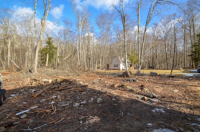 view of yard featuring a wooded view