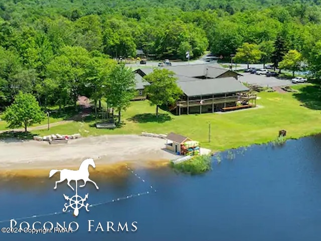 202 Palomino Pl, Tobyhanna, PA 18466 - bird's eye view of a forest and a nearby body of water