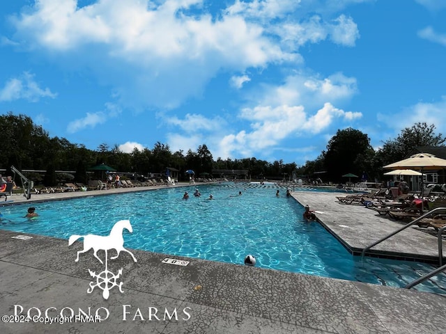 202 Palomino Pl, Tobyhanna, PA 18466 - community pool featuring a patio area