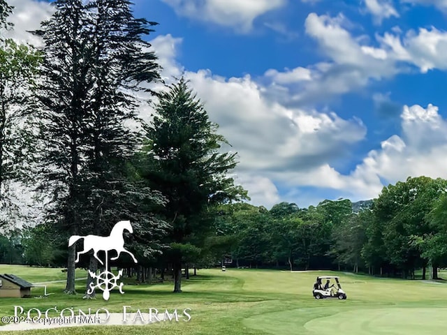 202 Palomino Pl, Tobyhanna, PA 18466 - surrounding community featuring a lawn, golf course view, and view of scattered trees