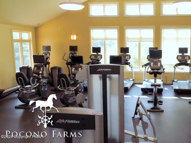 202 Palomino Pl, Tobyhanna, PA 18466 - exercise room featuring vaulted ceiling