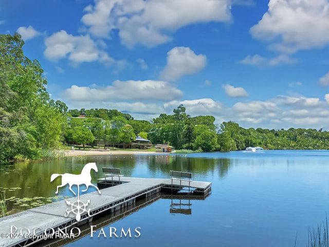 202 Palomino Pl, Tobyhanna, PA 18466 - dock featuring a water view