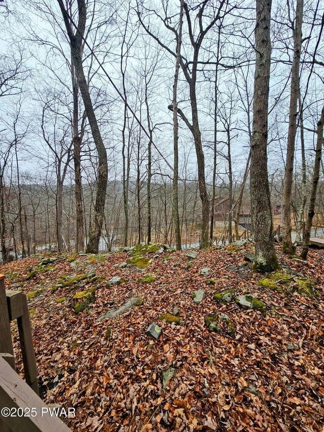 1123 Porter Dr, Bushkill, PA 18324 - view of wooded area