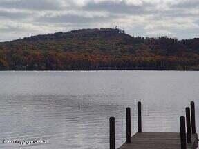 Listing photo 3 for 14-21-6 Omaha Trl, Pocono Lake PA 18347