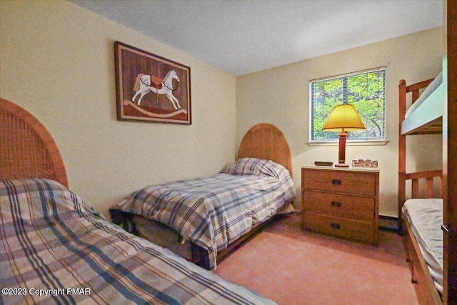 bedroom with carpet flooring