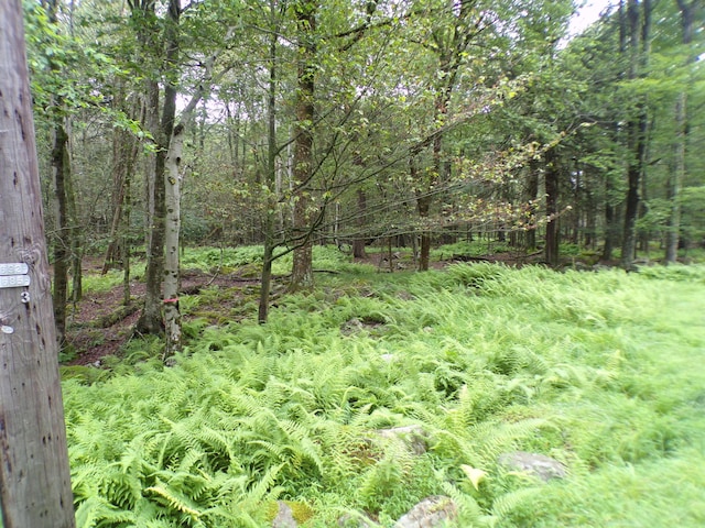 Cobblewood Rd, Gouldsboro, PA 18424 - photo 3