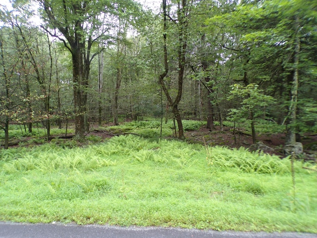 Cobblewood Rd, Gouldsboro, PA 18424 - photo 2