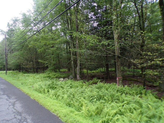 Cobblewood Rd, Gouldsboro, PA 18424 - photo 1