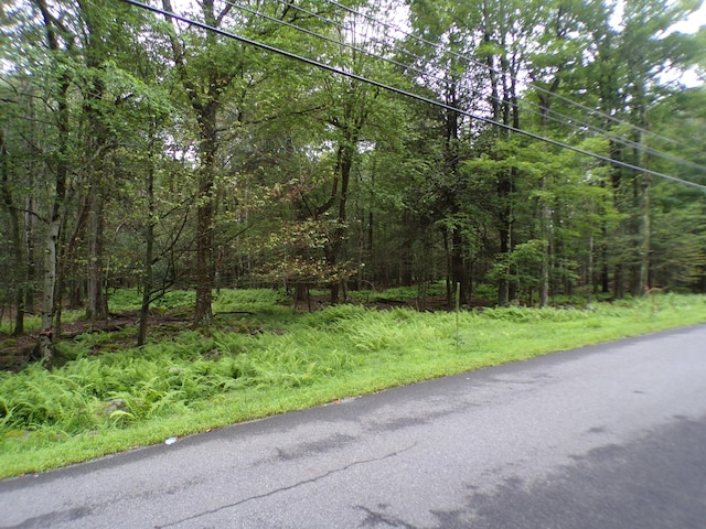 Cobblewood Rd, Gouldsboro, PA 18424 - photo 4