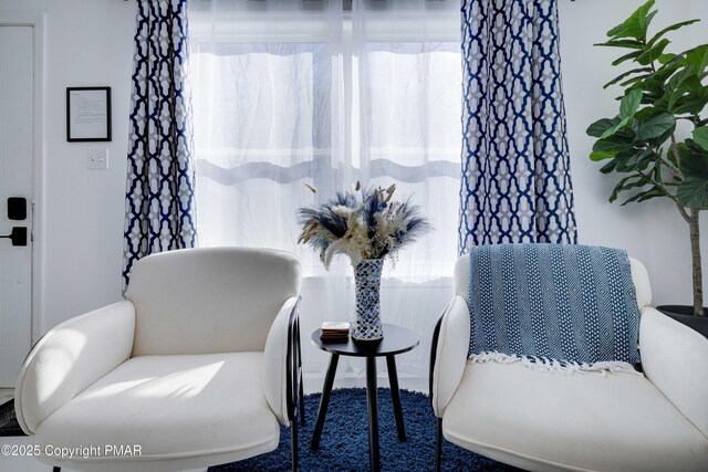 sitting room with plenty of natural light