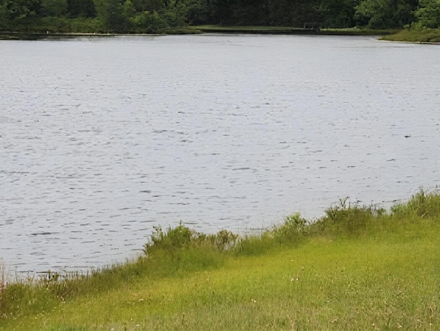 211 Beaver Dam Rd, Long Pond, PA 18334 - water view with a forest
