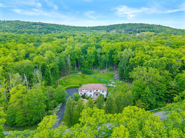 210 Edwin Ln, Stroudsburg, PA 18360 - view from above of property with a forest