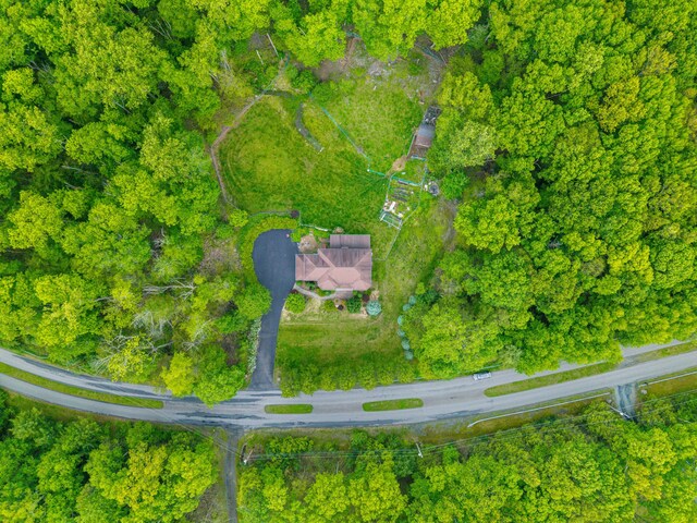 210 Edwin Ln, Stroudsburg, PA 18360 - bird's eye view