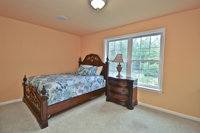210 Edwin Ln, Stroudsburg, PA 18360 - bedroom with multiple windows, carpet floors, and baseboards