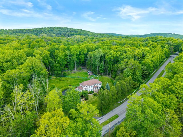 210 Edwin Ln, Stroudsburg, PA 18360 - aerial view of property and surrounding area with a forest
