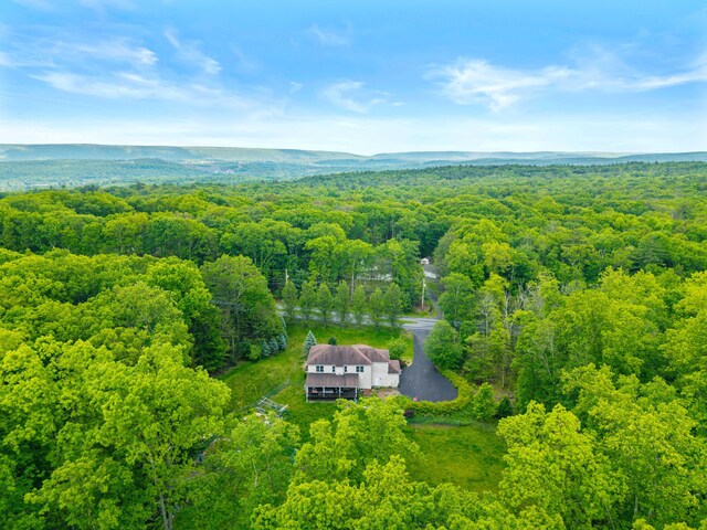 210 Edwin Ln, Stroudsburg, PA 18360 - view from above of property with a forest