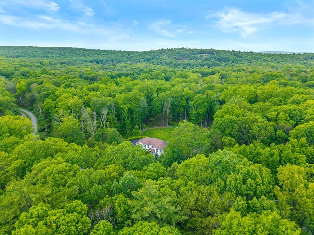 210 Edwin Ln, Stroudsburg, PA 18360 - bird's eye view of a forest