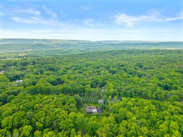 210 Edwin Ln, Stroudsburg, PA 18360 - drone / aerial view of a forest
