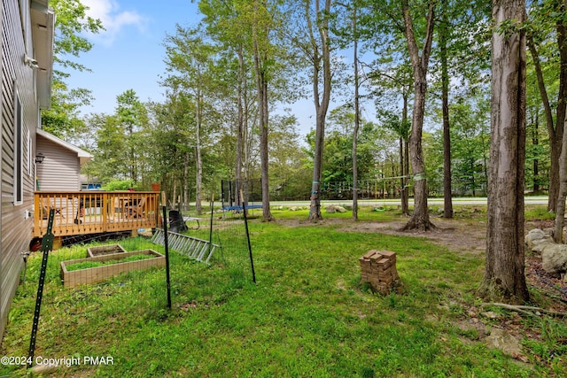 view of yard with a garden, a trampoline, and a deck